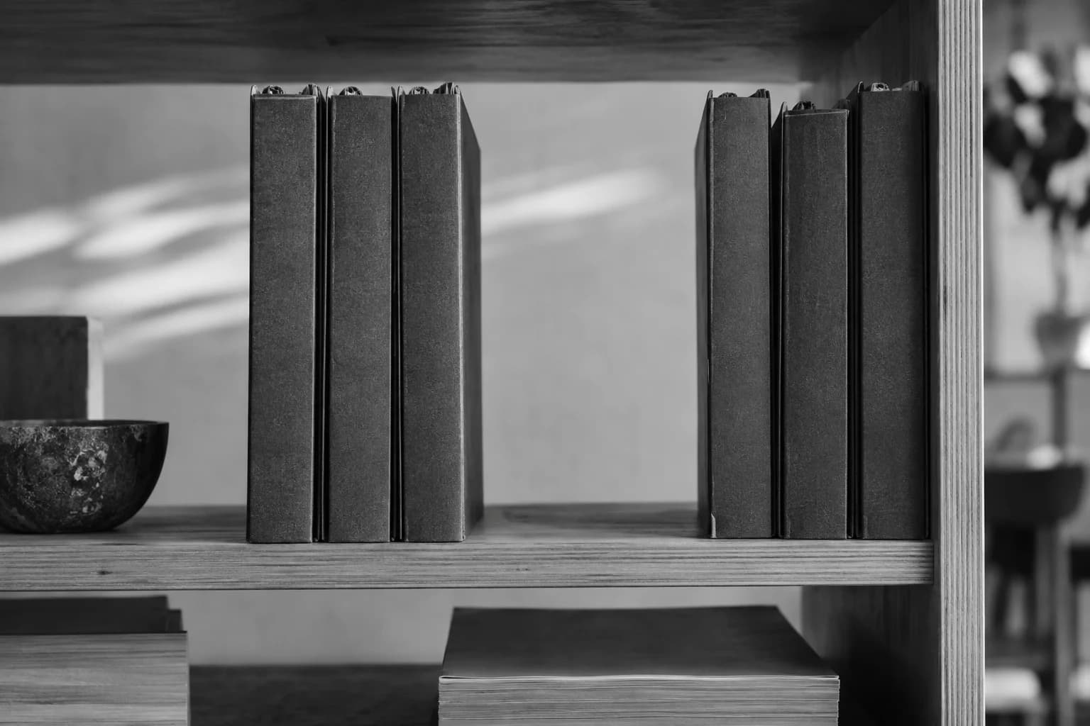 Monochrome photograph of an empty space between folders on an archive shelf